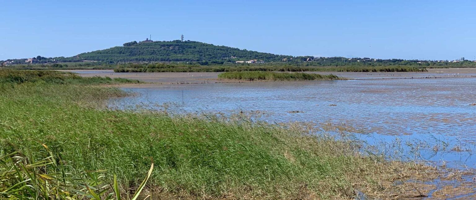Le Mont SaintLoup le volcan qui surplombe le Cap d’Agde Office de