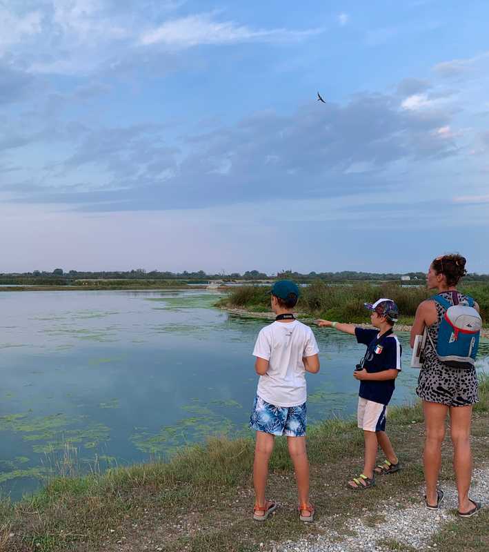 Visite de la réserve naturelle de la Grande Maïre à Portiragnes