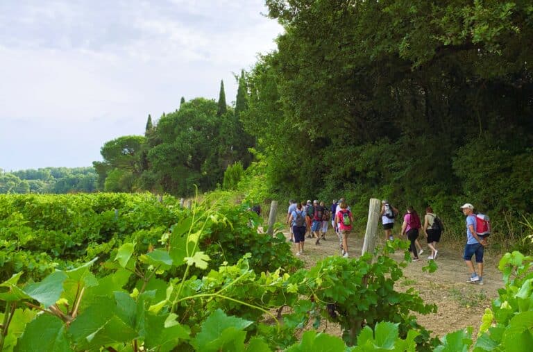 Office de Tourisme Cap d'Agde Méditerranée, Hérault, Occitanie