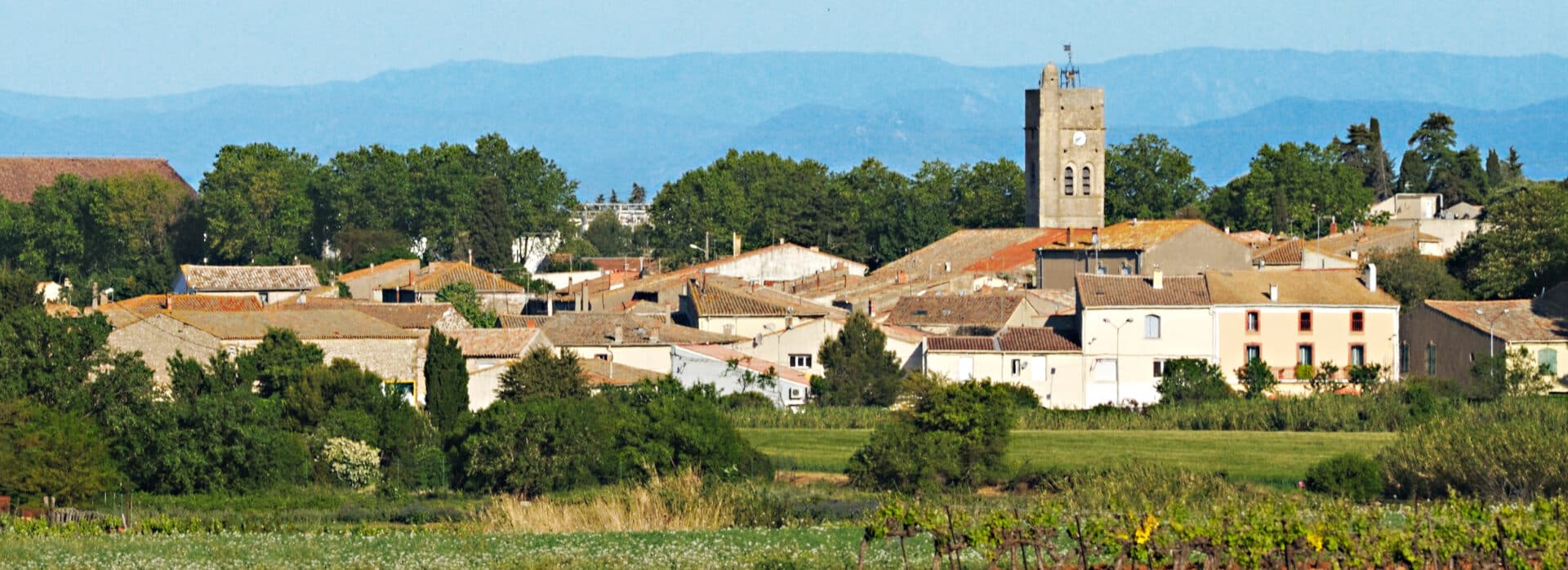 Village de Pomérols - Office de Tourisme Cap d'Agde Méditerranée