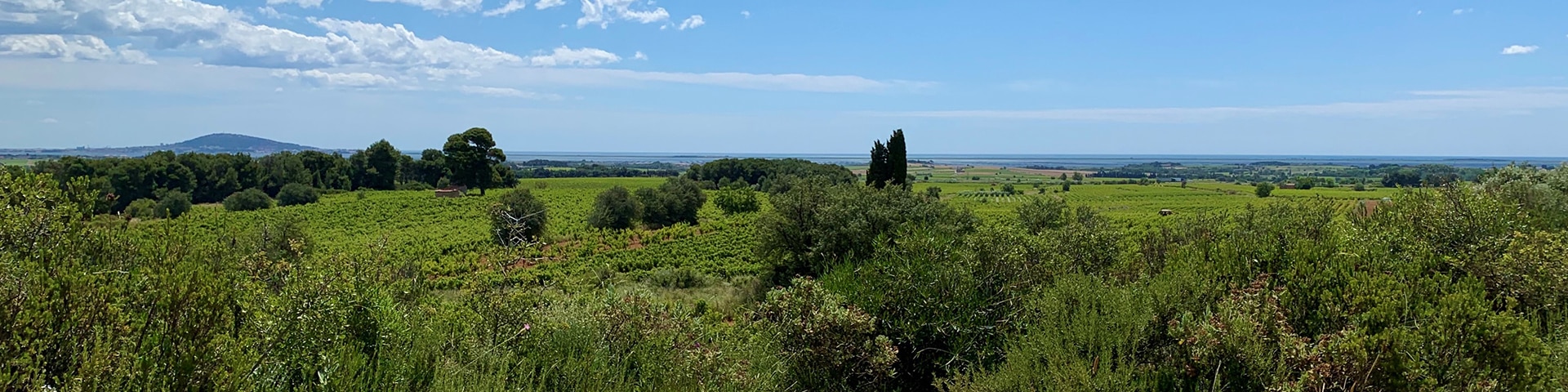 Une randonnée dans les pas des romains sur la Via Domitia à Pinet