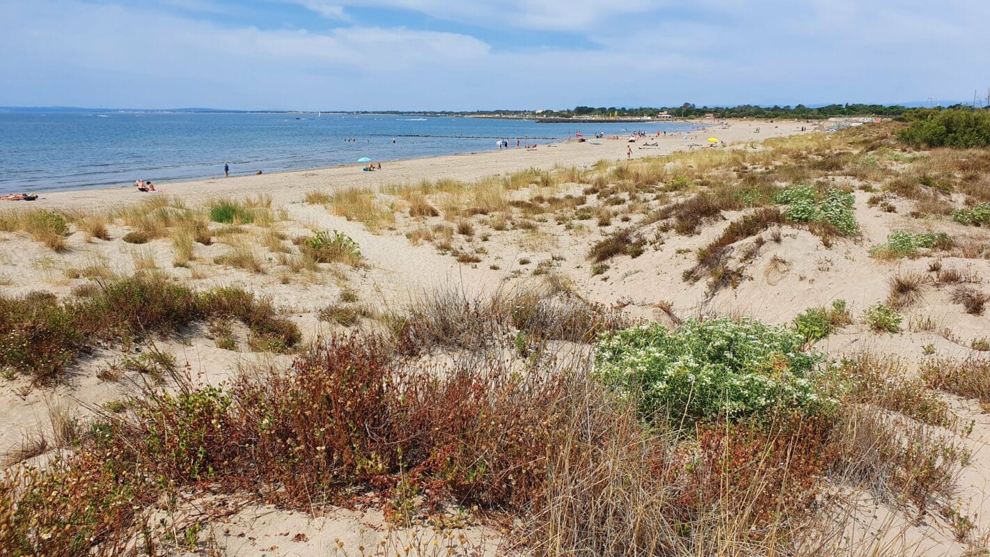 Plages et nature -Office de Tourisme Cap d'Agde Méditerranée