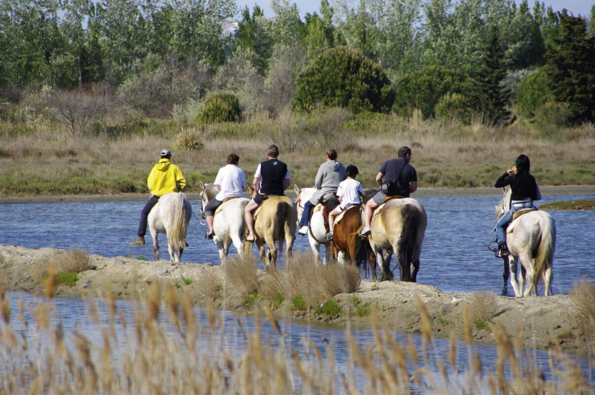 Activités équestres - Office de Tourisme Cap d'Agde Méditerranée