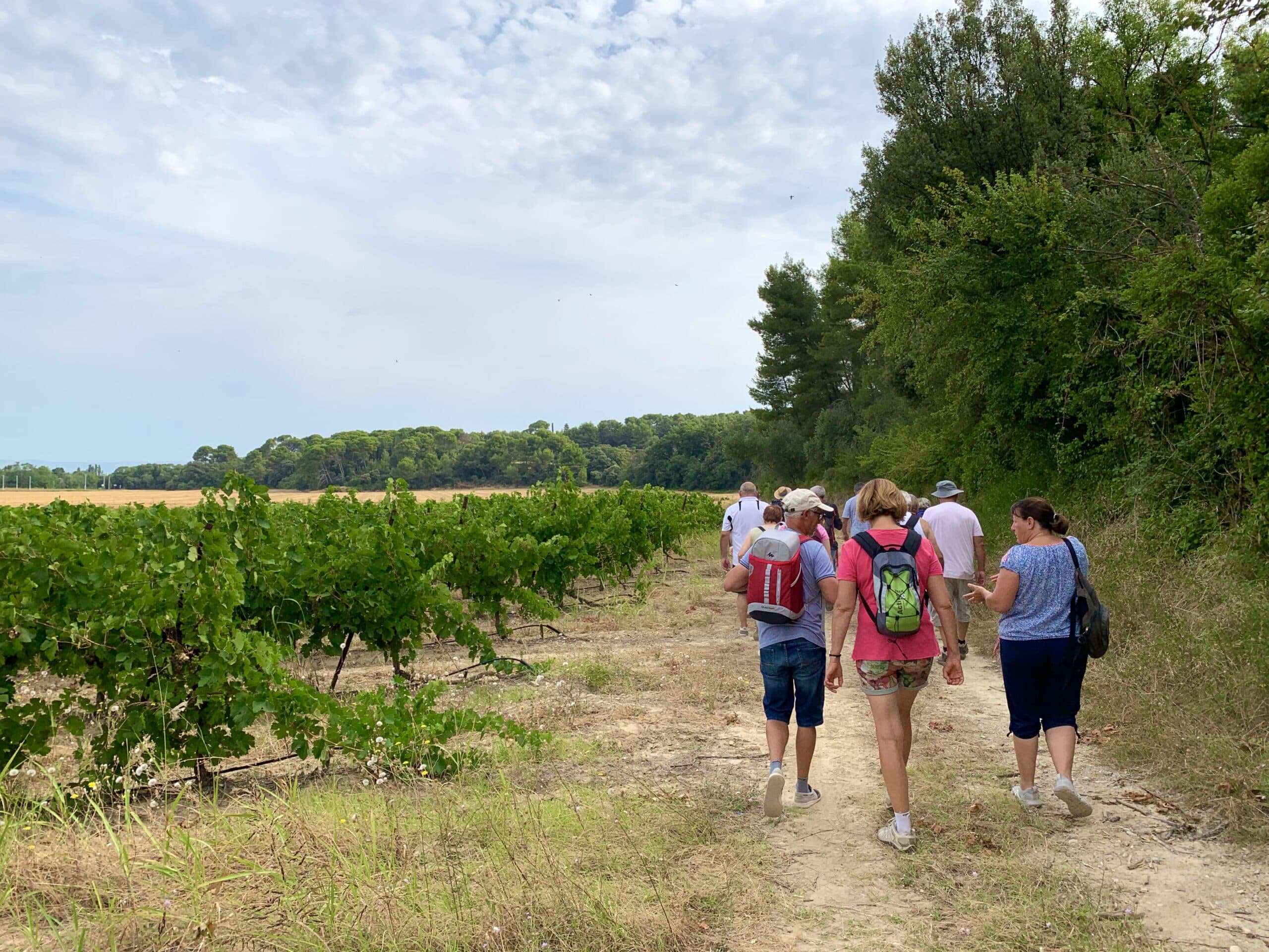 Walking activities | Office de Tourisme Cap d'Agde Méditerranée ...