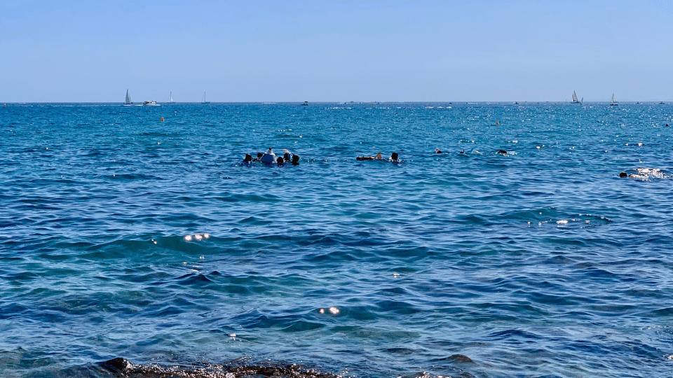 Aire Marine protégée - Biodiversité - le Cap d'Agde