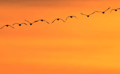 Cap d'Agde Méditerranée