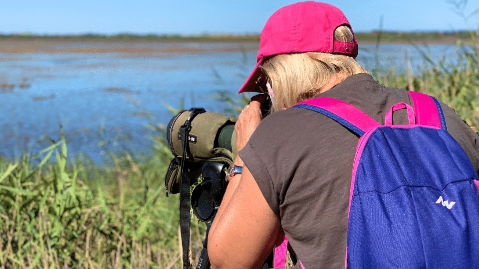 Le Bagnas - Agde Observation des oiseaux