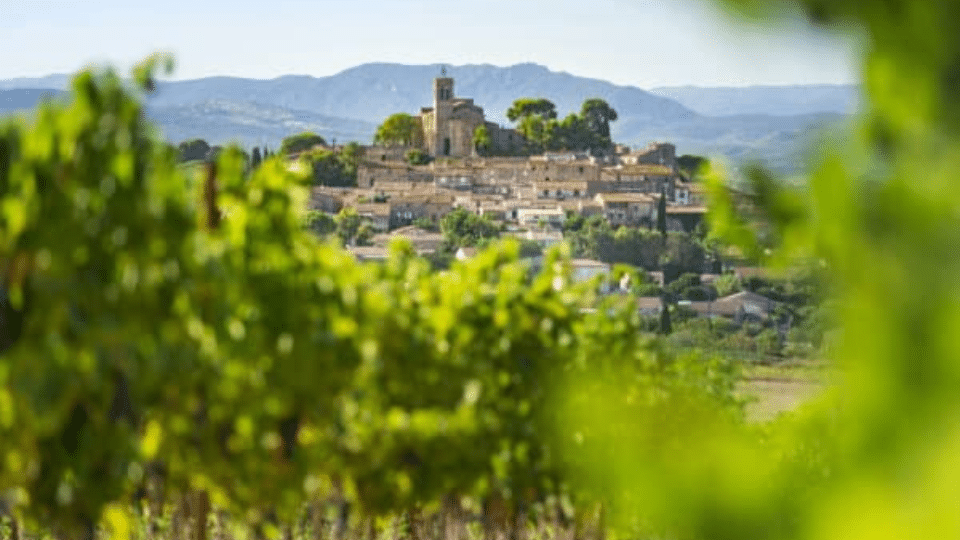 Vue de Saint Pons de Mauchiens