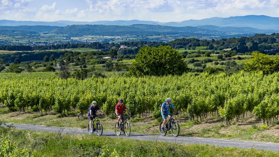 Circuits VTT et gravel : 500 km de pur ride entre Méditerranée et vignobles