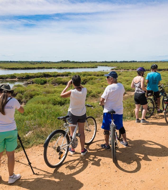 Balades à vélo en famille : le top des itinéraires faciles et 100% nature