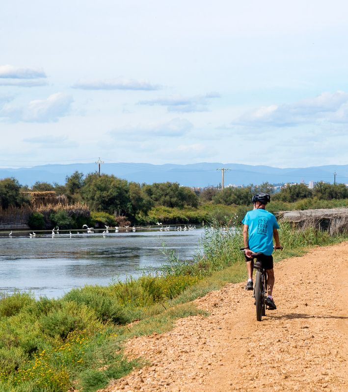 Balades à vélo : circuits découvertes autour du Cap d’Agde